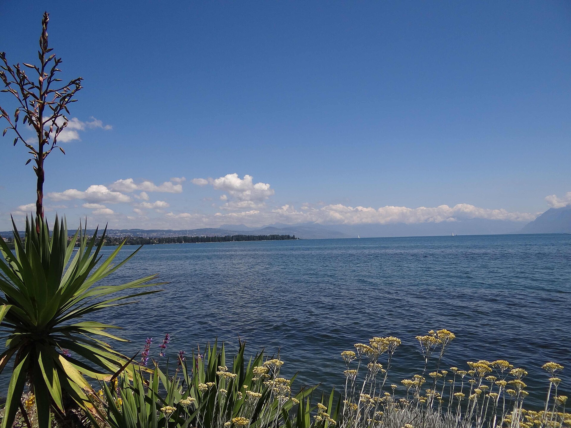 Morges · Léman